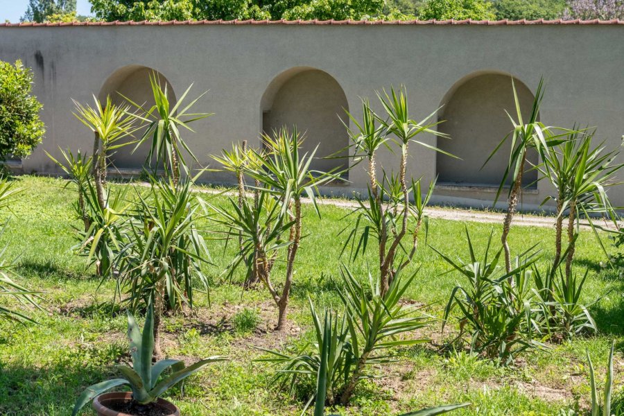 Schlossmauer Hegne